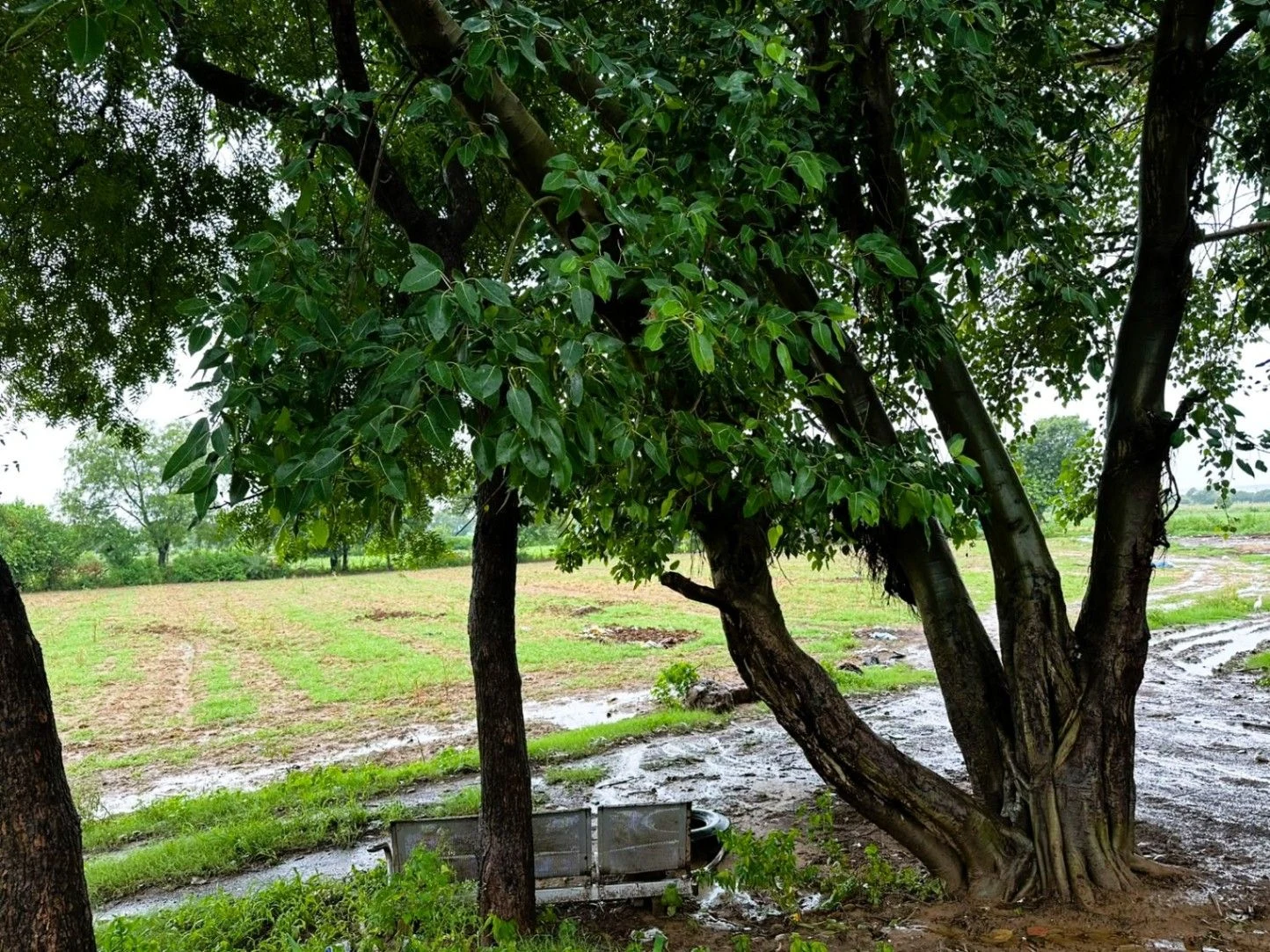 Kharoda, Haryana 122103, India