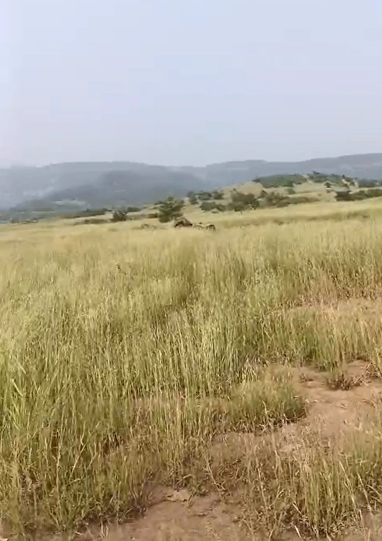 3867+32V, Raigad, Damat, Maharashtra, India