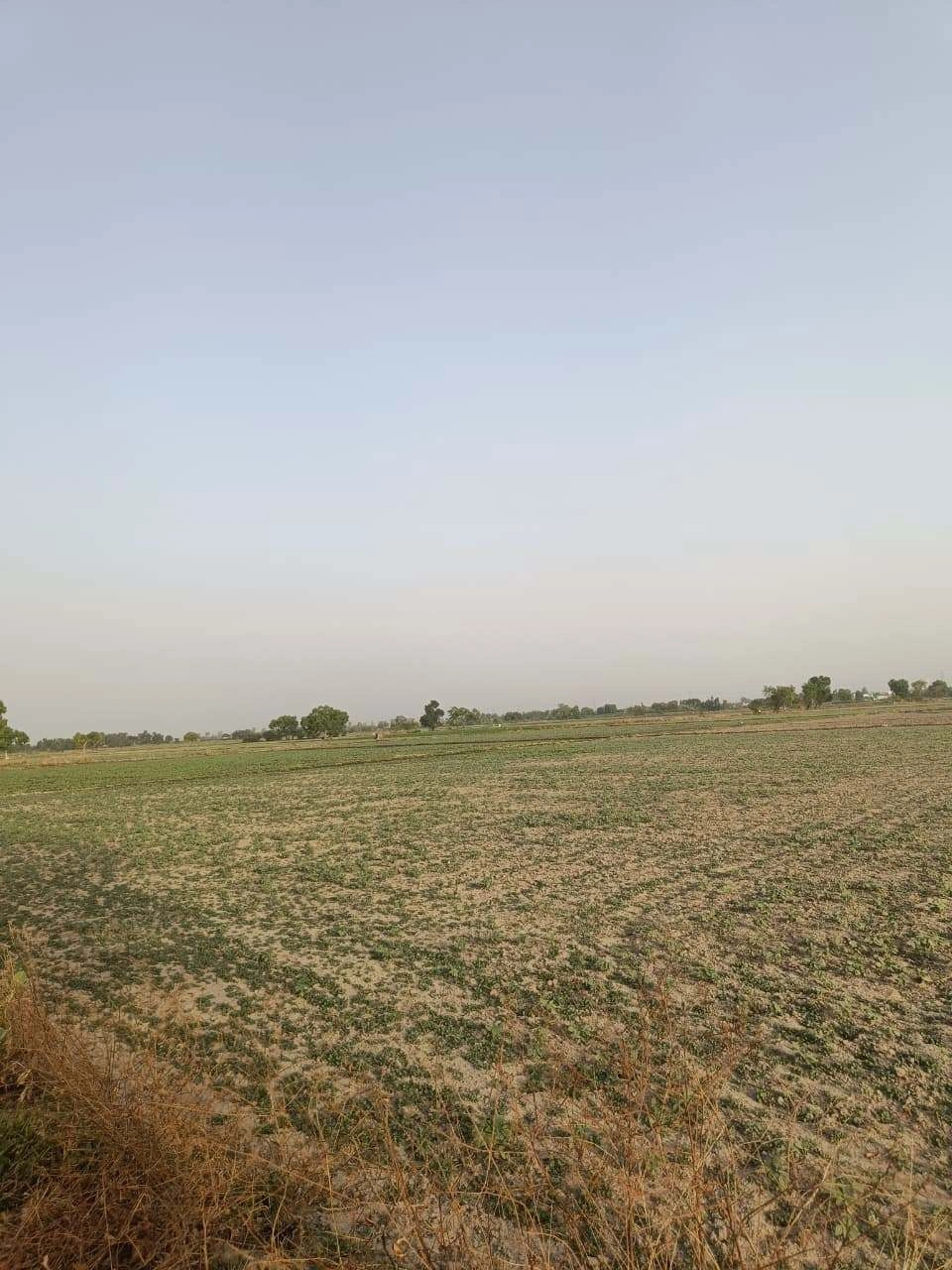 Tentigaon, Uttar Pradesh, India
