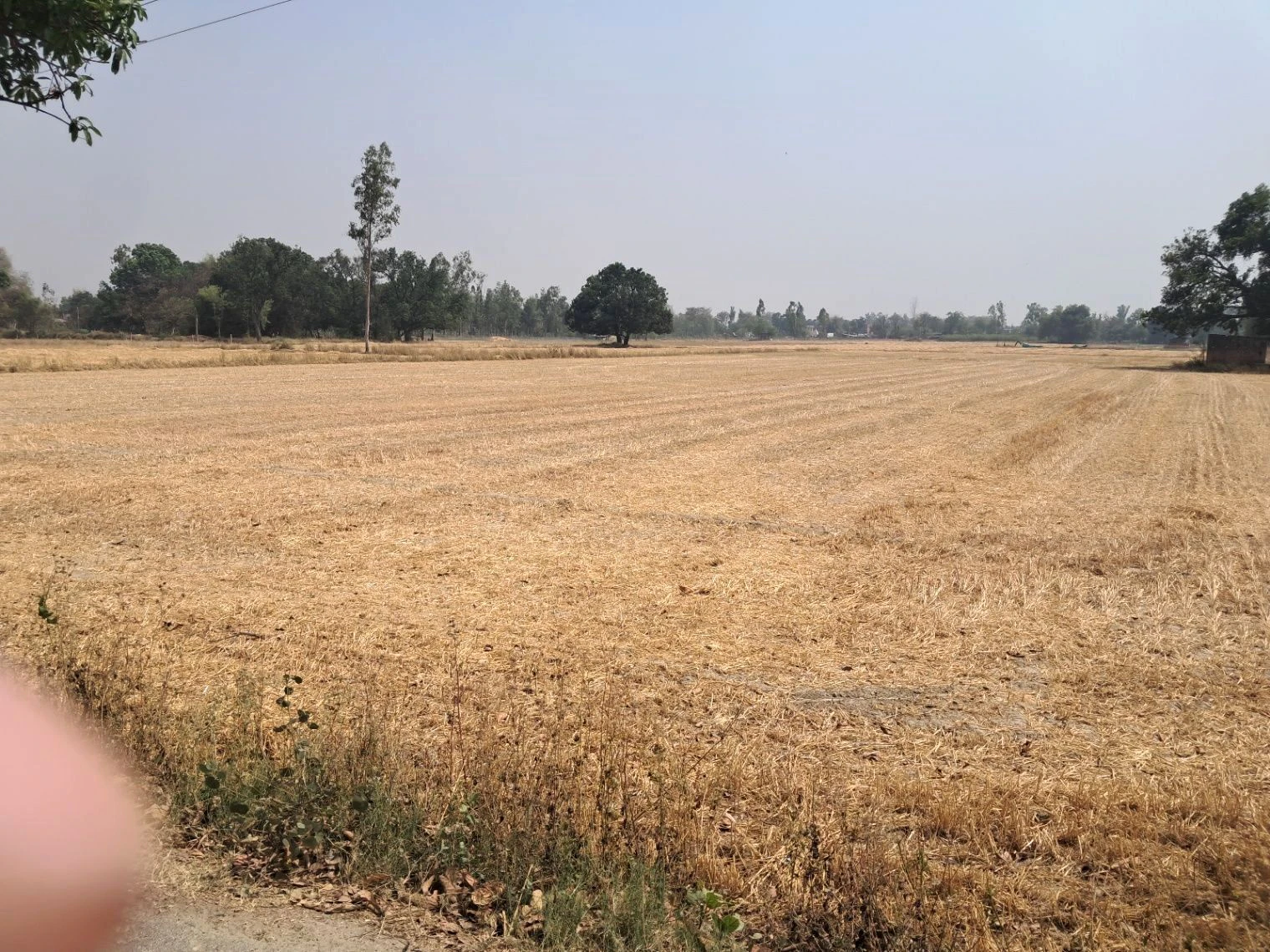 Q5MF+WP6, Kosi Parikrama Rd, Amanigunj, Faizabad, Uttar Pradesh 224001, India