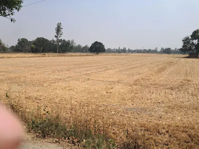 Q5MF+WP6, Kosi Parikrama Rd, Amanigunj, Faizabad, Uttar Pradesh 224001, India preview 2