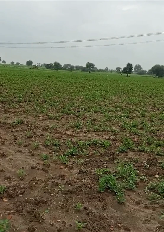Patha, Mahoba, Uttar Pradesh, India