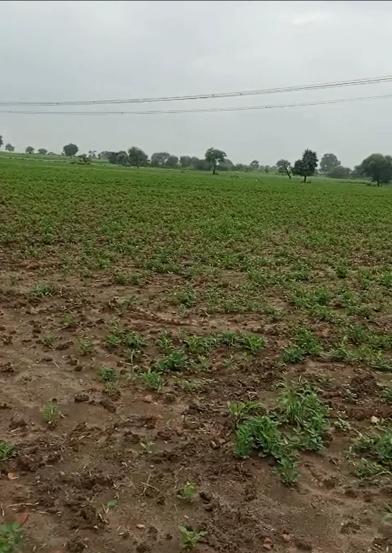 Patha, Mahoba, Uttar Pradesh, India