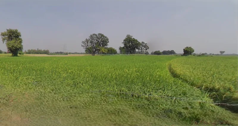 Satna, Madhya Pradesh, India preview 2