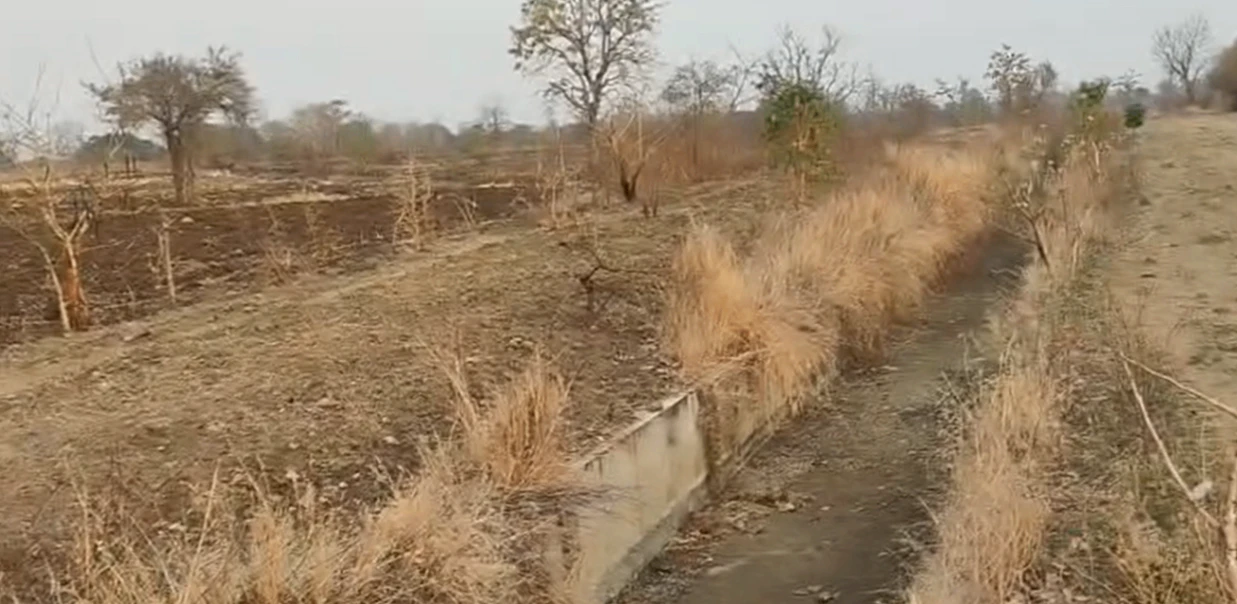 9CV9+C92, Adilabad, Warthamanoor, Telangana, India