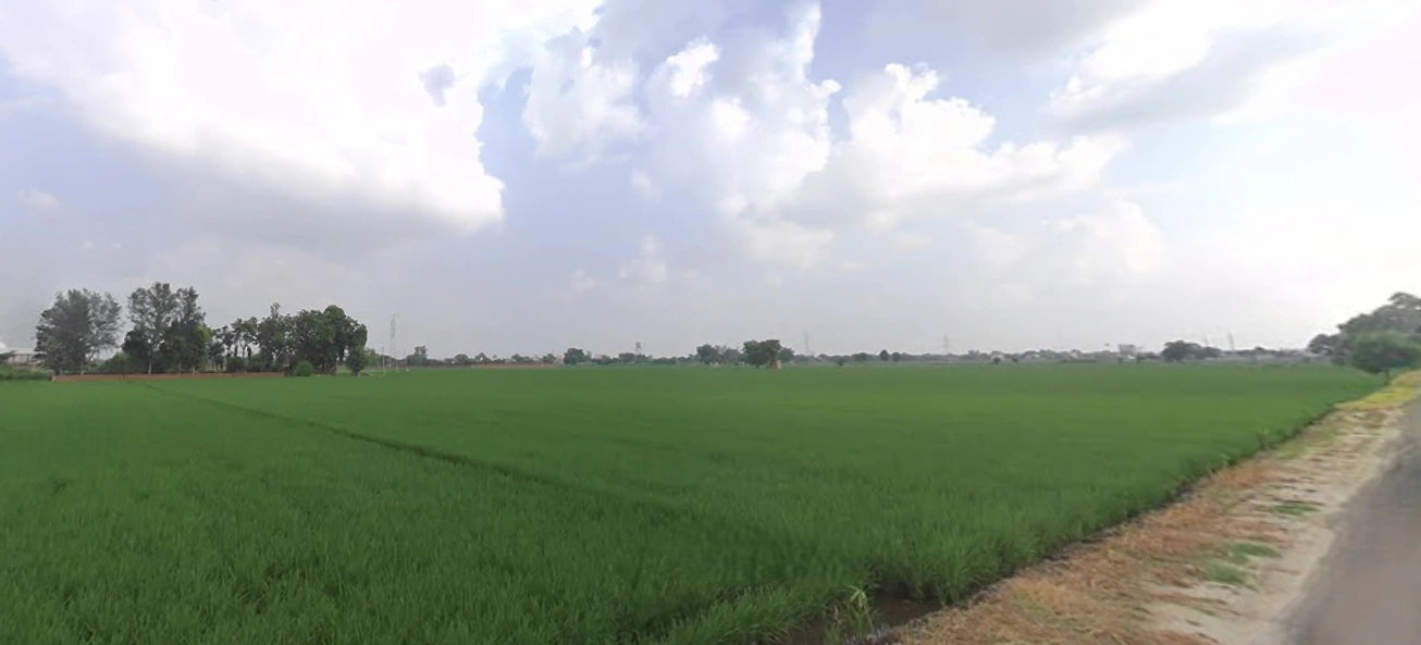 FH7V+G2 Chikhaliya, Gujarat, India