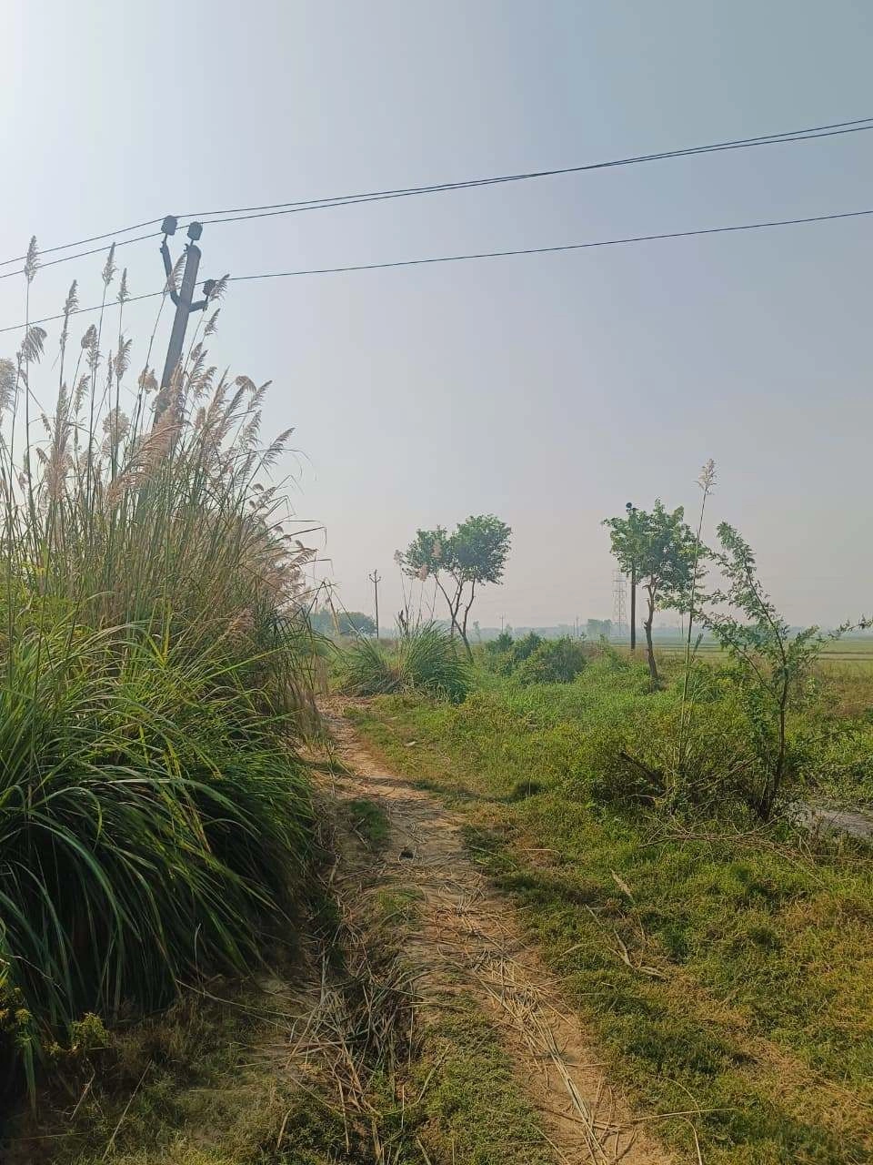 Umari, Mathura, Uttar Pradesh 281123, India