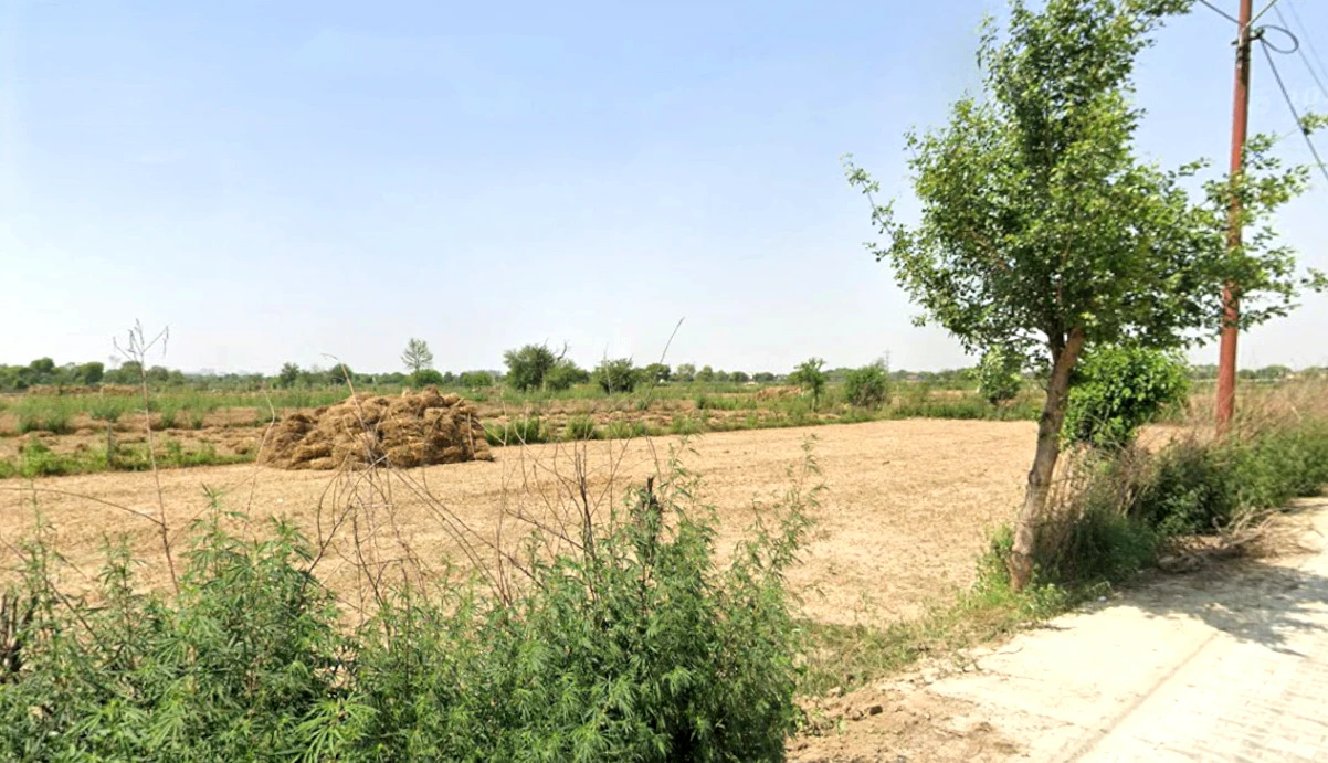 Sector 76, Noida, Uttar Pradesh 201316, India