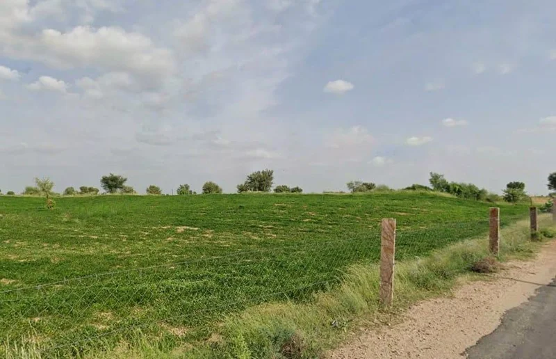 Tanwara, Rajasthan 341304, India preview 3