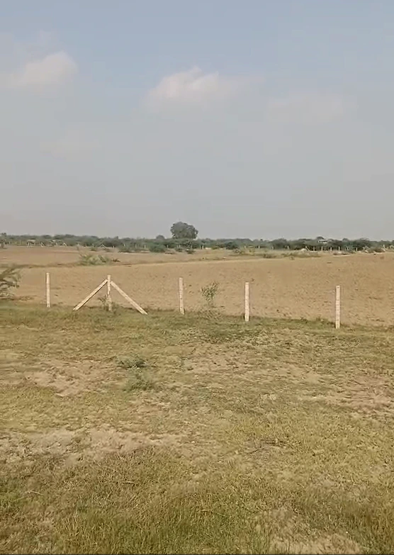 CPQ5+W46, Vikarabad, Bantwaram, Telangana 501106, India - Photo 2