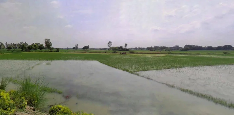 Barnagar, Madhya Pradesh 456771, India preview 3