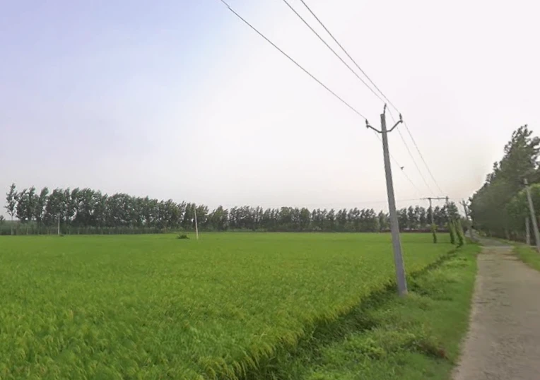 Sarsawa, Uttar Pradesh 247232, India
