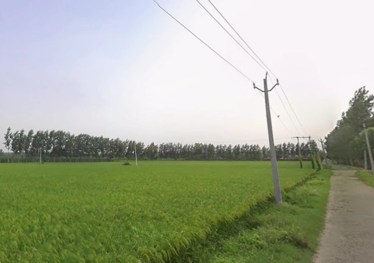 Sarsawa, Uttar Pradesh 247232, India