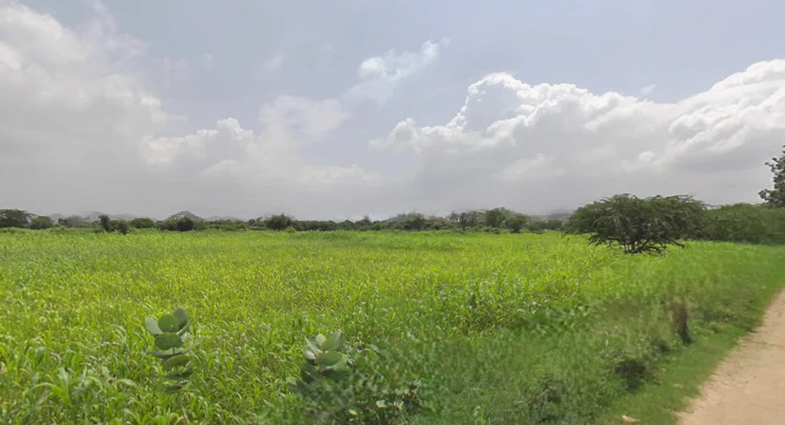 Udaipur, Rajasthan, India