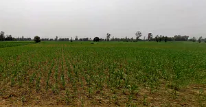 Garh Mukteshwar, Uttar Pradesh 245205, India preview 2