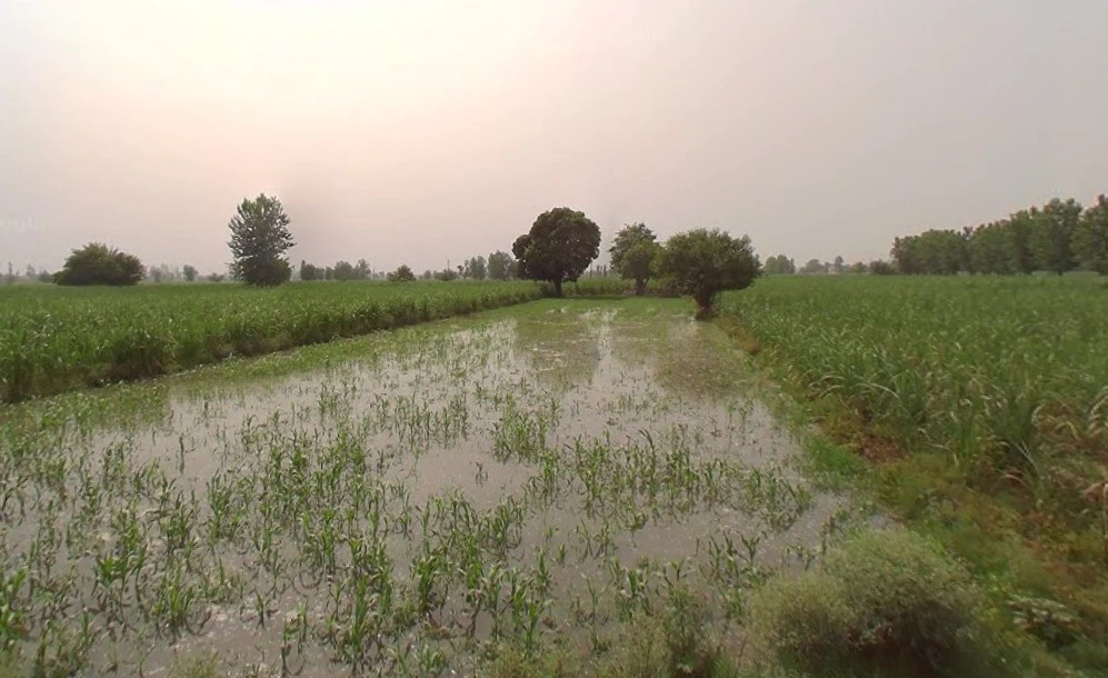 Murlipur, Uttar Pradesh 250004, India