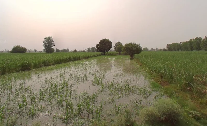 Murlipur, Uttar Pradesh 250004, India preview 3