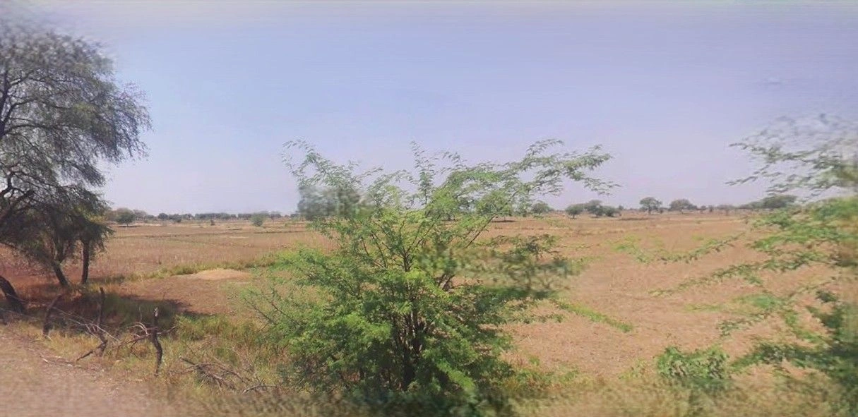 Garoth, Madhya Pradesh 458880, India