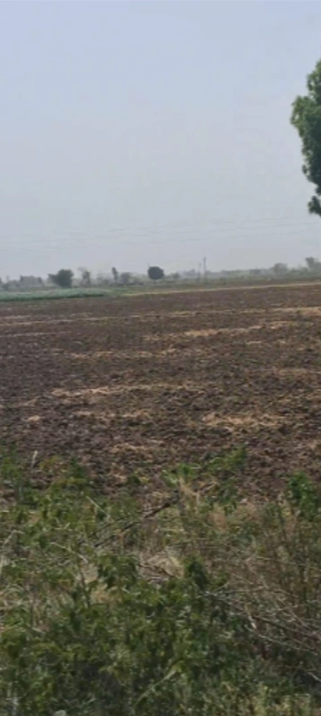 Firozpur Kalan, Haryana 121004, India preview 3