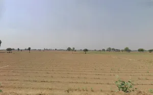 Hisar, Haryana, India preview 3