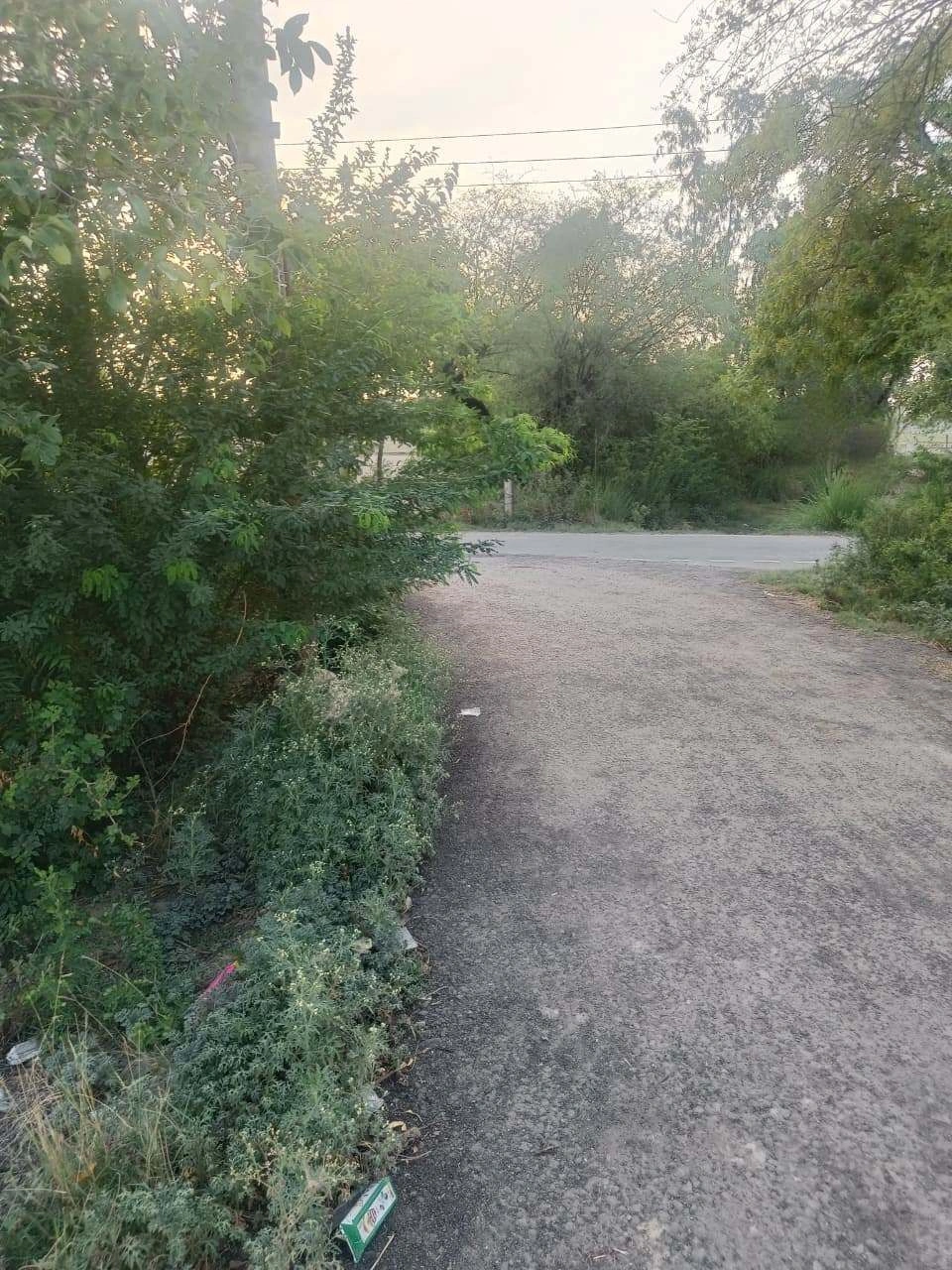 Aou, Rajasthan, India