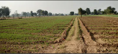 Bilaspur - Marwahi Bypass Rd, Balbahara, Chhattisgarh 495118, India preview 2
