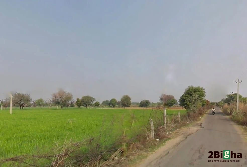 Bindayaka, Jaipur, Rajasthan 302041, India