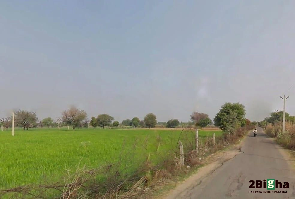Bindayaka, Jaipur, Rajasthan 302041, India