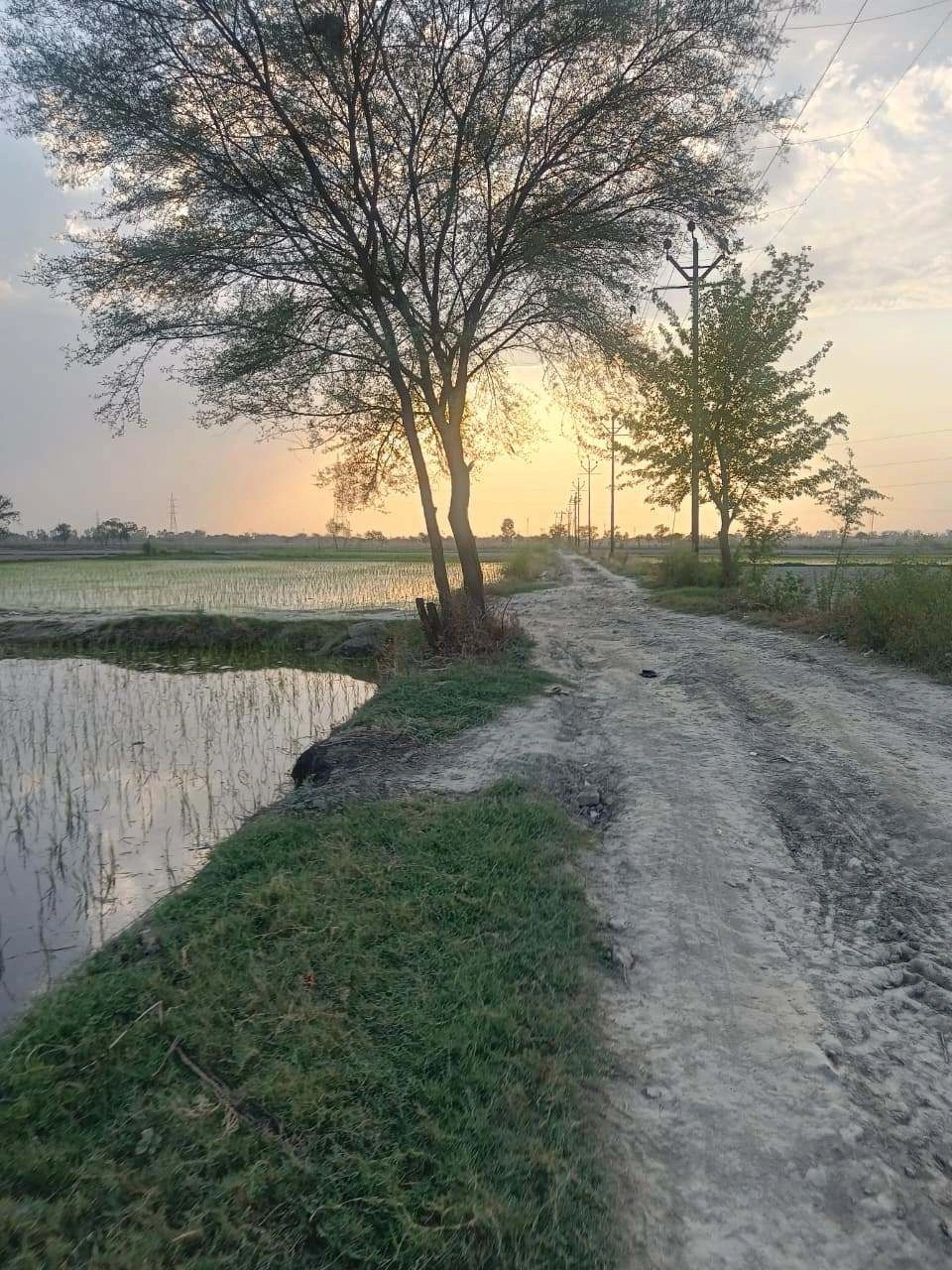 Sankhi, Uttar Pradesh 281401, India preview 3