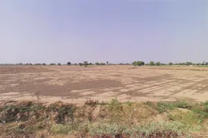 Kharhar, Haryana 124501, India preview 2