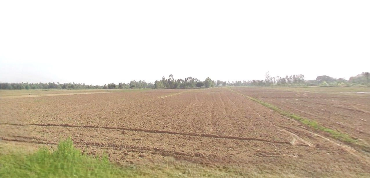 RV9Q+778 Ayush electricals, Majhola, Pakaria Vijaypur, Uttar Pradesh 262302, India preview 2