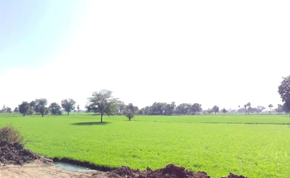Agar, Madhya Pradesh 465441, India