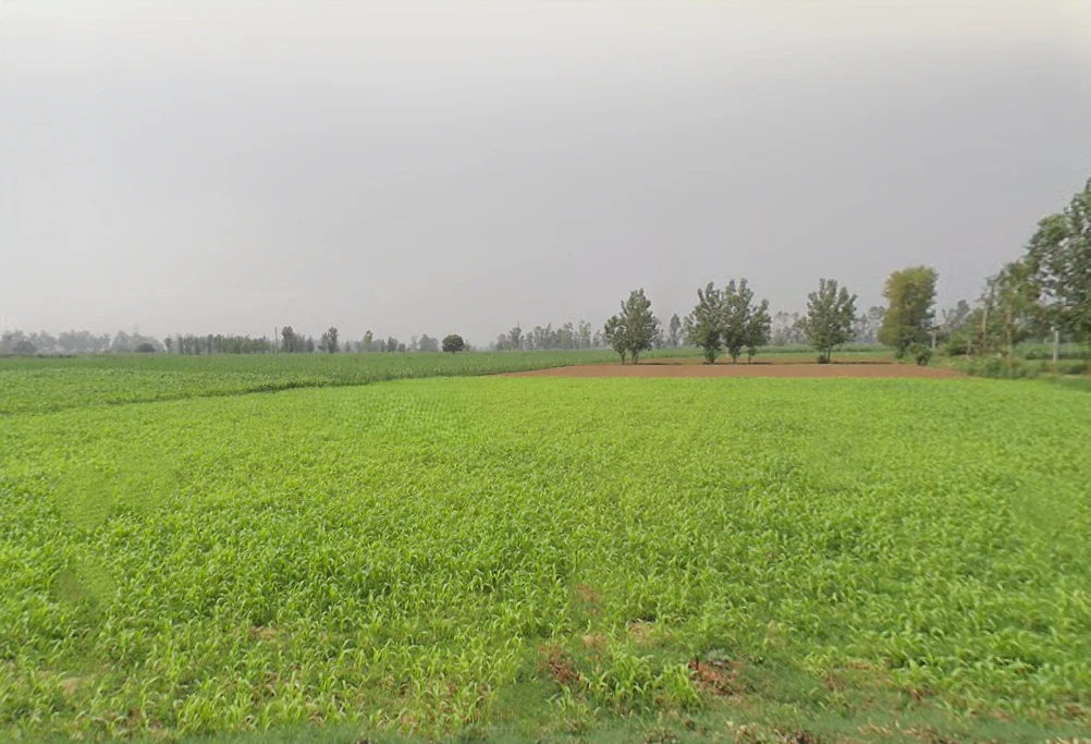 Hastinapur, Uttar Pradesh 250404, India