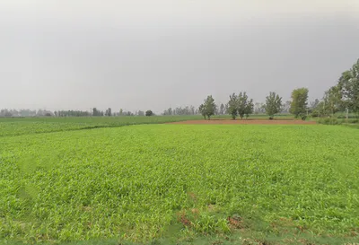 Hastinapur, Uttar Pradesh 250404, India preview 2