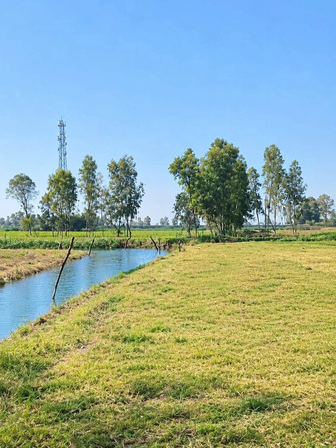 Chaumuhan, Mathura, Uttar Pradesh 281406, India
