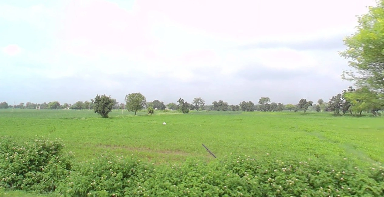 Ratnakhedi, Madhya Pradesh 456006, India