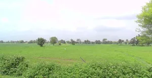 Ratnakhedi, Madhya Pradesh 456006, India preview 3