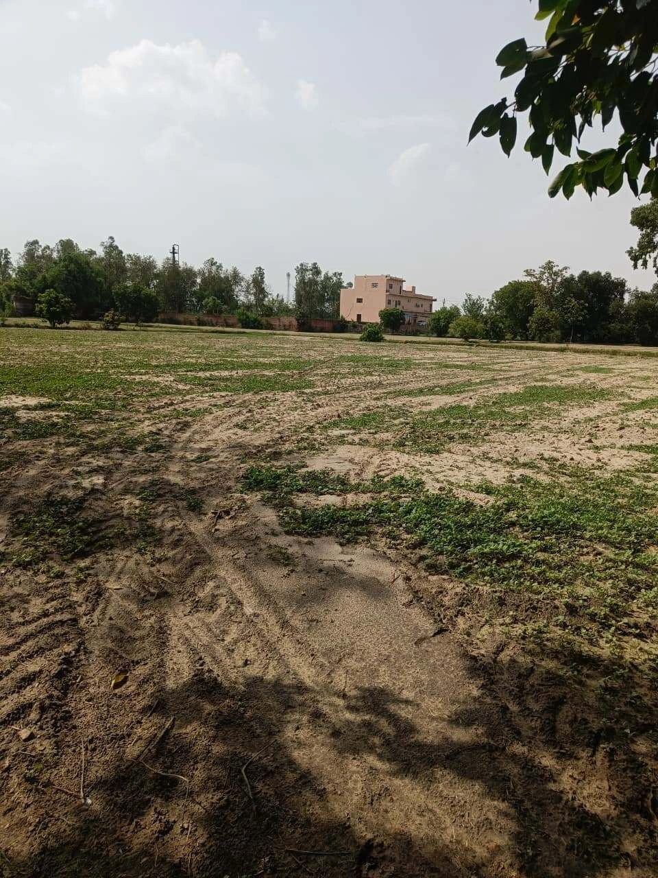 Gauhari, Uttar Pradesh 281401, India