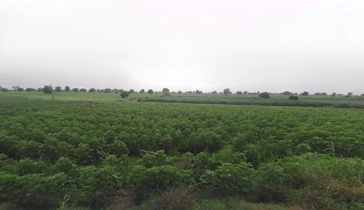 Kukrawali, Haryana, India