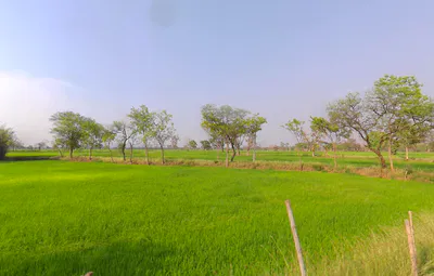 Chandkhuri, Chhattisgarh 491001, India preview 3