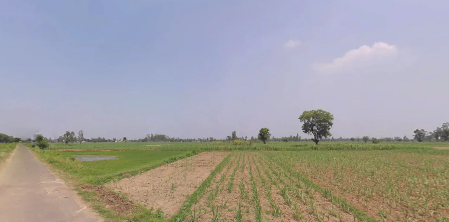 Kanth, Uttar Pradesh 244501, India