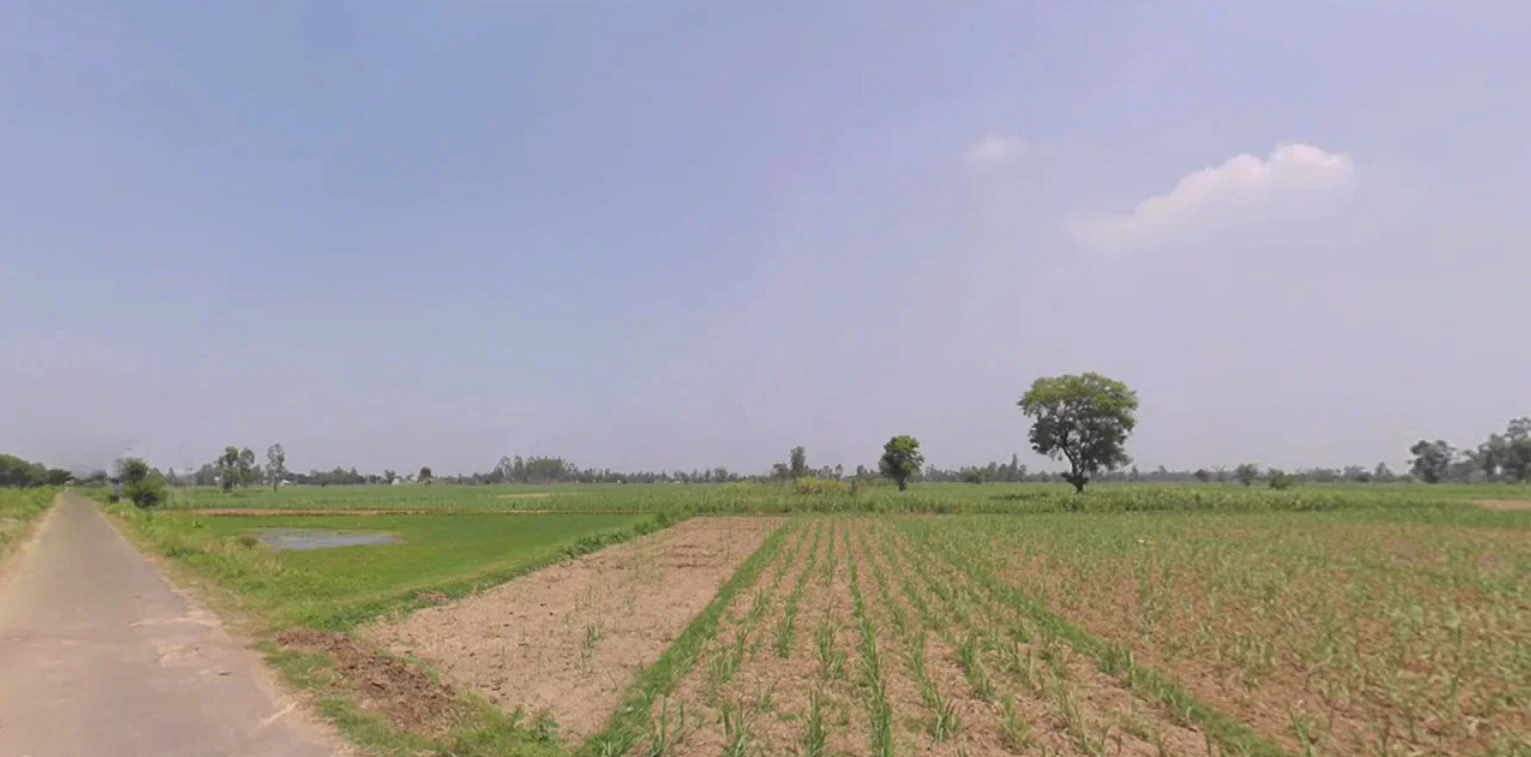 Kanth, Uttar Pradesh 244501, India
