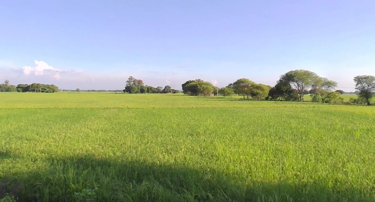 Sajod, Madhya Pradesh 465001, India