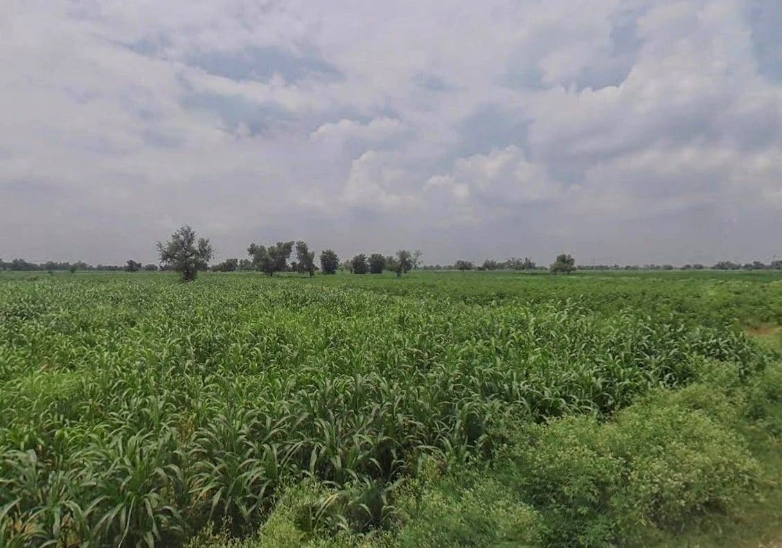 Bharatpur Rd, Semli, Rajasthan, India