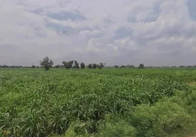 Bharatpur Rd, Semli, Rajasthan, India preview 2
