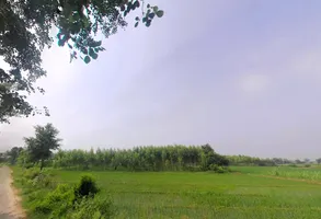 Bhali Anandpur, Haryana 124411, India preview 3