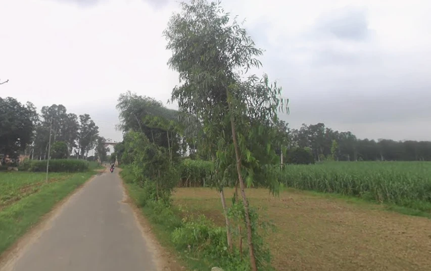 Miranpur, Uttar Pradesh 251315, India