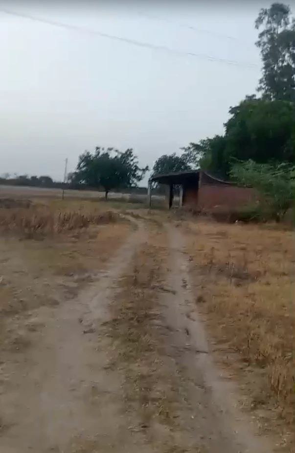 3MPJ+GCF, Harakh Pur, Uttar Pradesh 227409, India