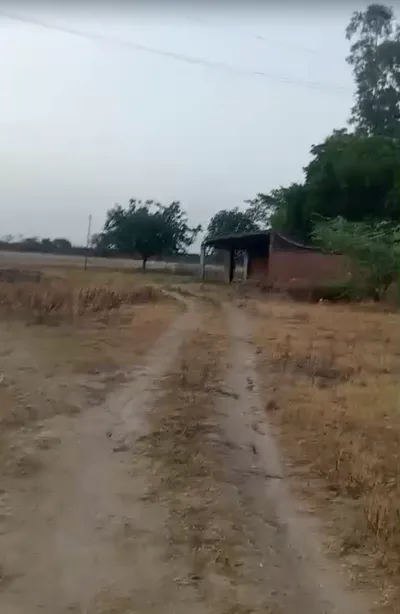 3MPJ+GCF, Harakh Pur, Uttar Pradesh 227409, India preview 3