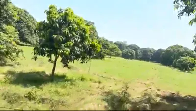 2PV4+QV Cheekalwas, Rajsamand, Rajasthan, India preview 3